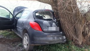 Zdjęcie bagażnika samochodu marki peugeot który uderzył w drzewo.