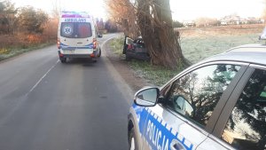 Zdjęcie radiowozu i karetki pogotowia na miejscu wypadku.