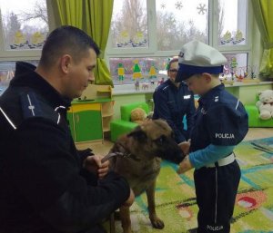 zdjęcie policjanta z psem służbowym który odwiedził dzieci w przedszkolu obok nich mały chłopiec ubrany w strój policjanta który dotyka psa w tle widać siedzącą na dywanie w przedszkolu policjantkę