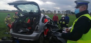 zdjęcie z wypadku drogowego, na pierwszym planie mężczyzna, policjant ruchu drogowego spisujący dane uczestniczki wypadku w dalszej części zdjęcia widać uszkodzony samochód marki citroen. Obok samochodu widać czterech mężczyzn ze straży pożarnej oraz dwóch ratowników medycznych gdzie jeden jest w uszkodzonym aucie i udziela poszkodowanej kobiecie pomocy. W tle widać łąkę i osoby postronne.