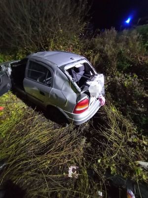 zdjęcie rozbitego samochodu osobowego który zderzył się z łosiem. Auto ma wybite szyby pogniecioną karoserię i po dachowaniu stoi w krzakach w rowie