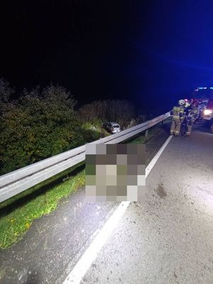 na zdjęciu widać fragment ulicy z barierą energochłonną metalową pod którą leży truchło łosia w oddali w rowie widać rozbite auto na ulicy stoi straż pożarna