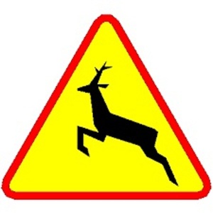 znak drogowy ostrzegający przed dziką zwierzyną