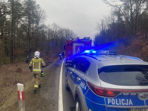 zdjęcie z miejsca dachowania pojazdu na pierwszym planie widać radiowóz i biegnącego strażaka po lewej stronie pobocze lasu przed radiowozem stoi wóz strażacki w tle widać drzewa stojących w pobliżu samochodu który dachował i leżu na poboczu policjantów i strażaków