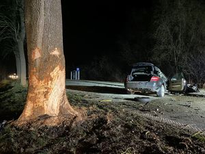 na pierwszym planie zdjęcia widać okorowane drzewo w które uderzył kierowca mercedesa a dalej widać wrak samochodu z otwartym bagażnikiem i drzwiami od strony pasażera
