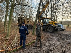 na zdjęciu zrobionym w lesie widać ciągnik z przyczepą z drewnem i stojącego na poboczu policjanta i strażnika leśnego