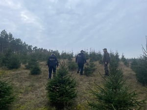 w otoczeniu lasu widać leśnika i dwoje policjantów którzy dokonują kontroli terenu pod kątem nielegalnej wycinki