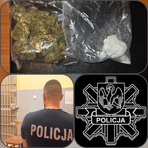 kolaż zdjęć w prawym dolnym rogu logo kwidzyńskiej policji w prawym dolnym rogu widać siedzącego policjanta przed celą w której jest zatrzymany podłużne górne zdjęcie przedstawia narkotyki biały proszek który jest amfetaminą i susz roślinny który jest marihuaną