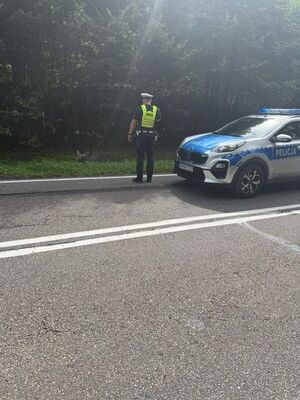 na zdjęciu widać ulice w lesie na której stoi radiowóz policjant stoi przy rowie w którym widać potrąconego łosia
